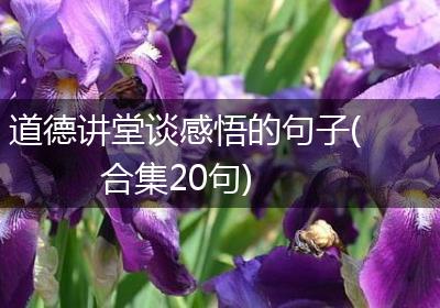 道德讲堂谈感悟的句子(合集20句)