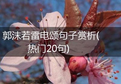 郭沫若雷电颂句子赏析(热门20句)