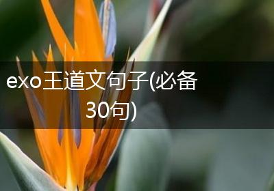 exo王道文句子(必备30句)