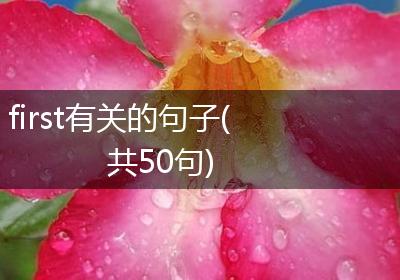 first有关的句子(共50句)