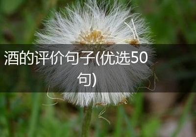 酒的评价句子(优选50句)