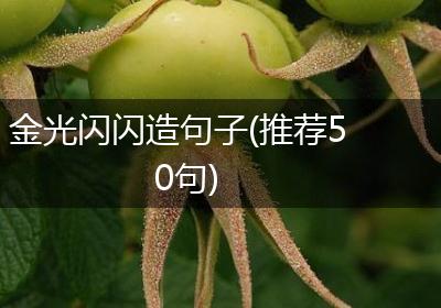 金光闪闪造句子(推荐50句)