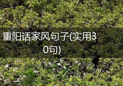 重阳话家风句子(实用30句)