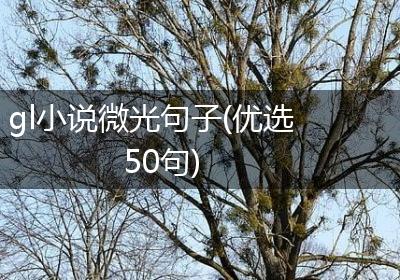gl小说微光句子(优选50句)