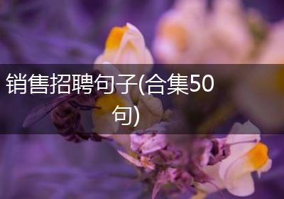 销售招聘句子(合集50句)