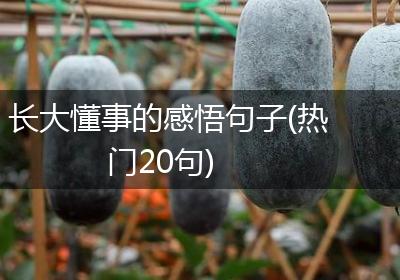 长大懂事的感悟句子(热门20句)