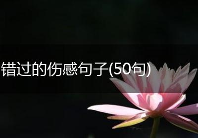 错过的伤感句子(50句)