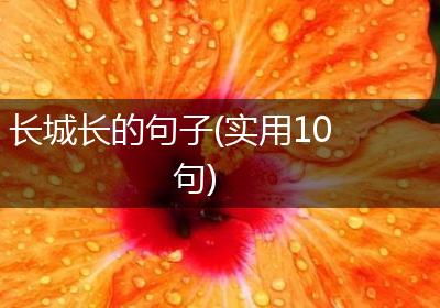 长城长的句子(实用10句)