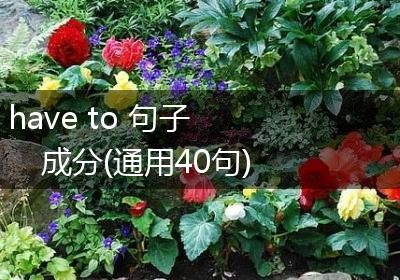 have to 句子 成分(通用40句)
