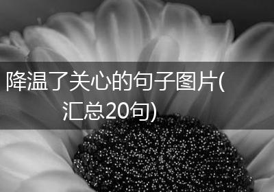 降温了关心的句子图片(汇总20句)