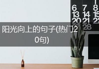 阳光向上的句子(热门20句)