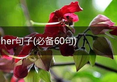 her句子(必备60句)