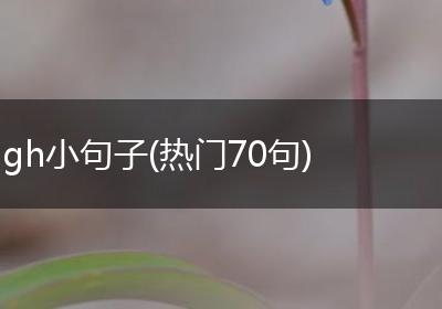 gh小句子(热门70句)