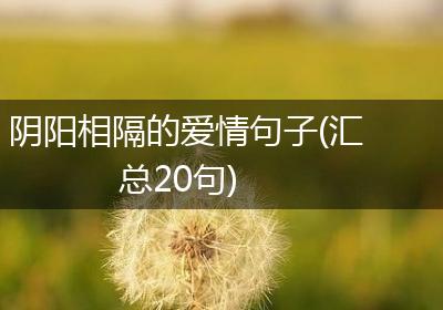 阴阳相隔的爱情句子(汇总20句)