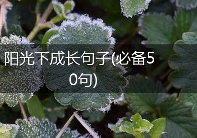 阳光下成长句子(必备50句)