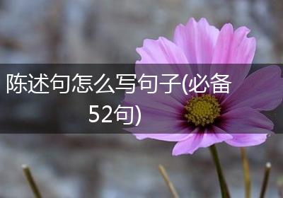 陈述句怎么写句子(必备52句)