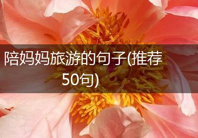 陪妈妈旅游的句子(推荐50句)