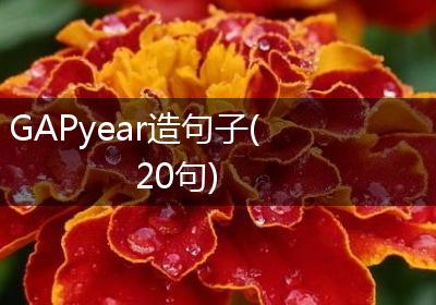 GAPyear造句子(20句)