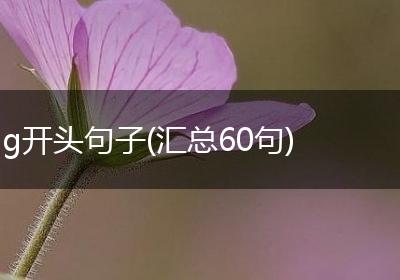 g开头句子(汇总60句)