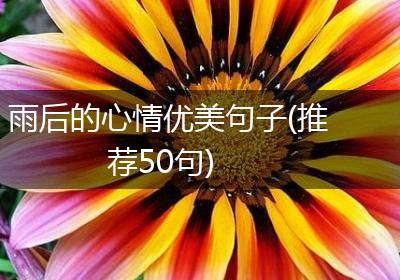 雨后的心情优美句子(推荐50句)