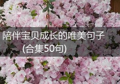 陪伴宝贝成长的唯美句子(合集50句)
