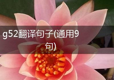 g52翻译句子(通用9句)