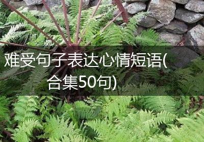 难受句子表达心情短语(合集50句)