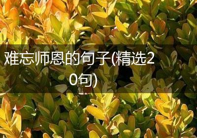 难忘师恩的句子(精选20句)