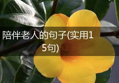 陪伴老人的句子(实用15句)
