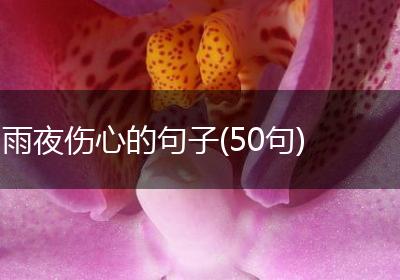 雨夜伤心的句子(50句)