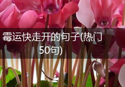 霉运快走开的句子(热门50句)