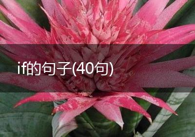 if的句子(40句)