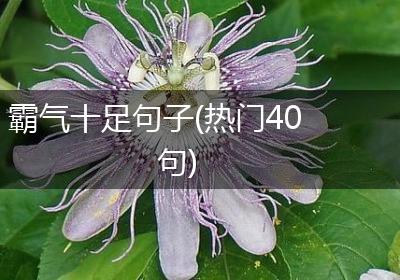 霸气十足句子(热门40句)