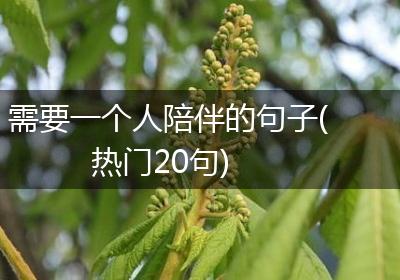 需要一个人陪伴的句子(热门20句)