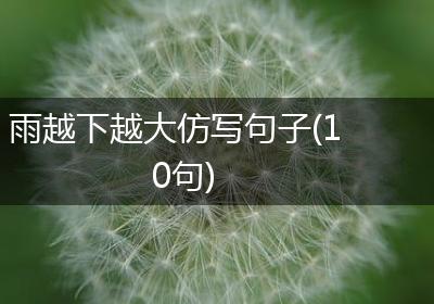 雨越下越大仿写句子(10句)
