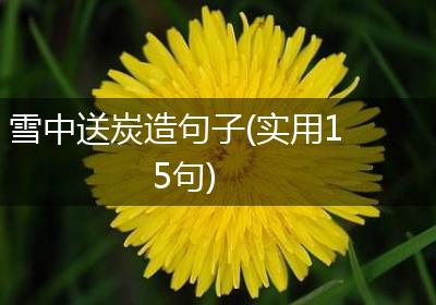 雪中送炭造句子(实用15句)