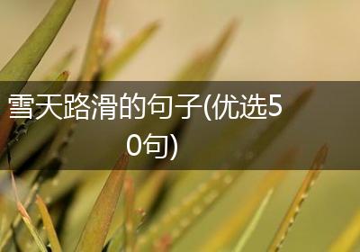 雪天路滑的句子(优选50句)