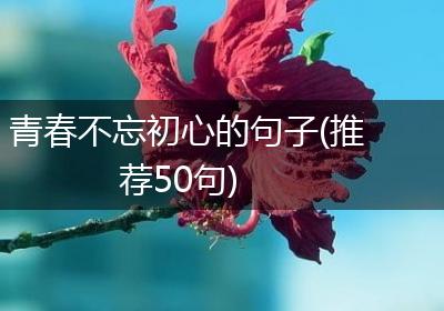 青春不忘初心的句子(推荐50句)