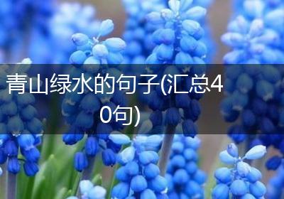 青山绿水的句子(汇总40句)