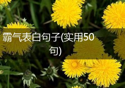霸气表白句子(实用50句)
