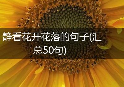 静看花开花落的句子(汇总50句)