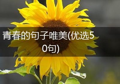青春的句子唯美(优选50句)