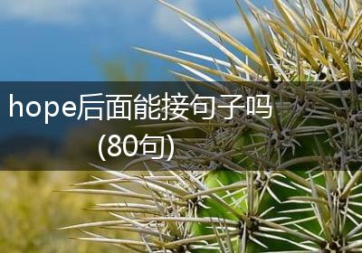 hope后面能接句子吗(80句)