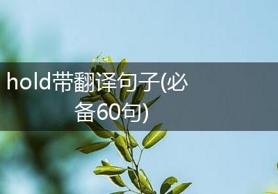 hold带翻译句子(必备60句)