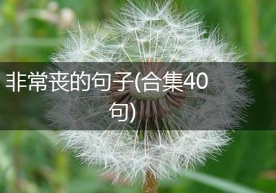 非常丧的句子(合集40句)