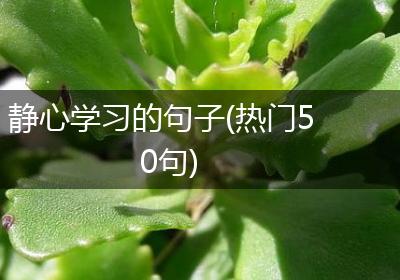 静心学习的句子(热门50句)