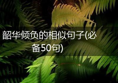 韶华倾负的相似句子(必备50句)