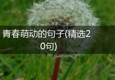 青春萌动的句子(精选20句)