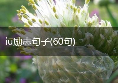 iu励志句子(60句)