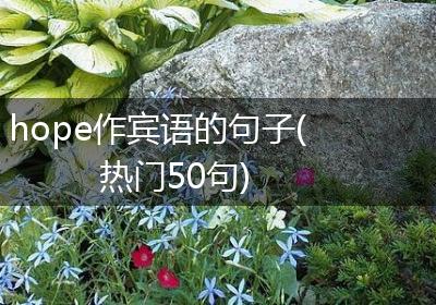 hope作宾语的句子(热门50句)